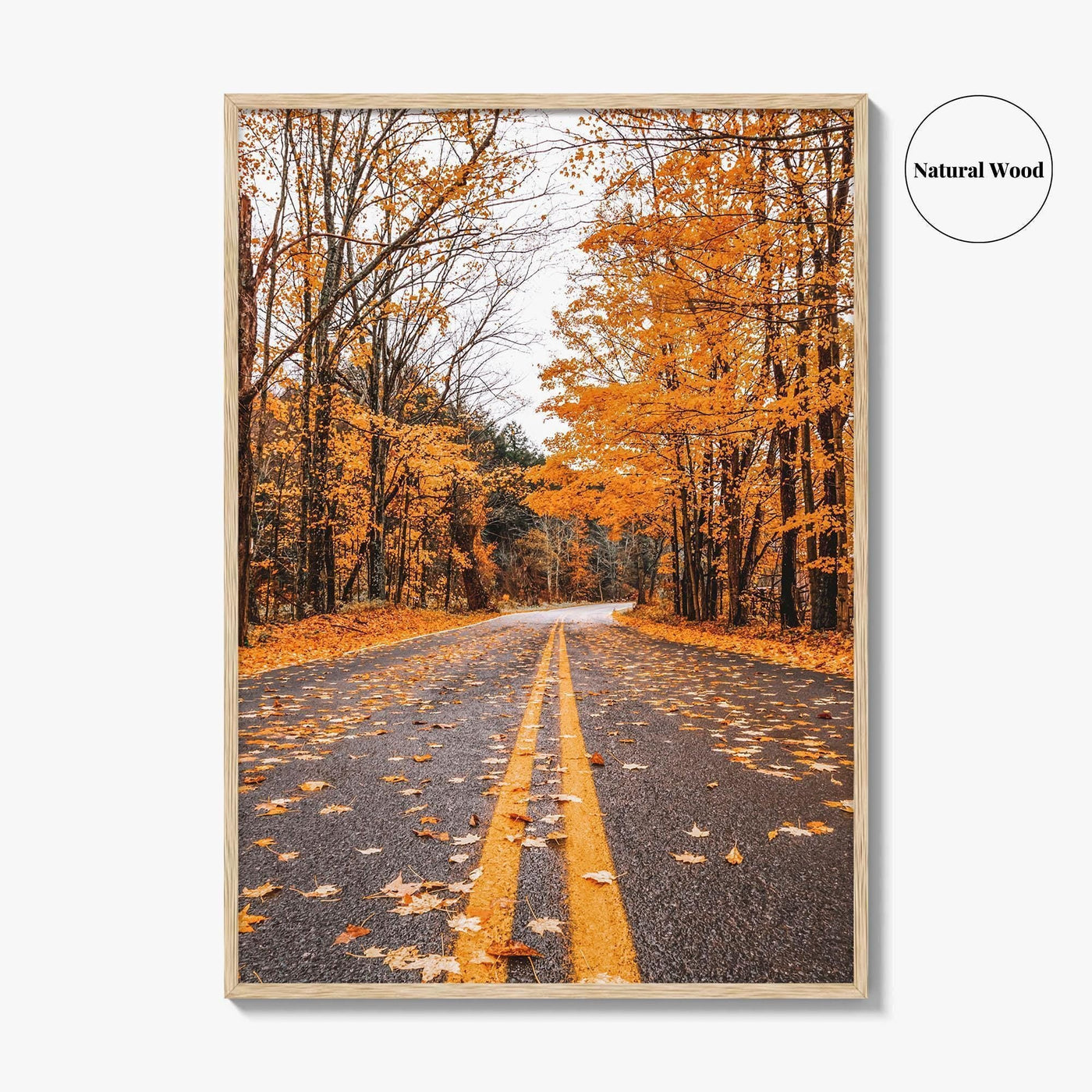 Catskill Mountains Fine Art Photo Print, Catskills, New York, Fall Foliage, Poster