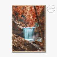 Dog Slaughter Falls Fine Art Photo Print, Daniel Boone National Forest, Kentucky, Waterfall Poster