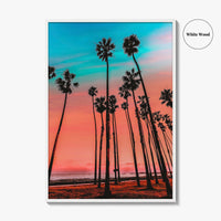Santa Barbara Fine Art Photo Print, California Wall Decor Poster, USA Palm Trees