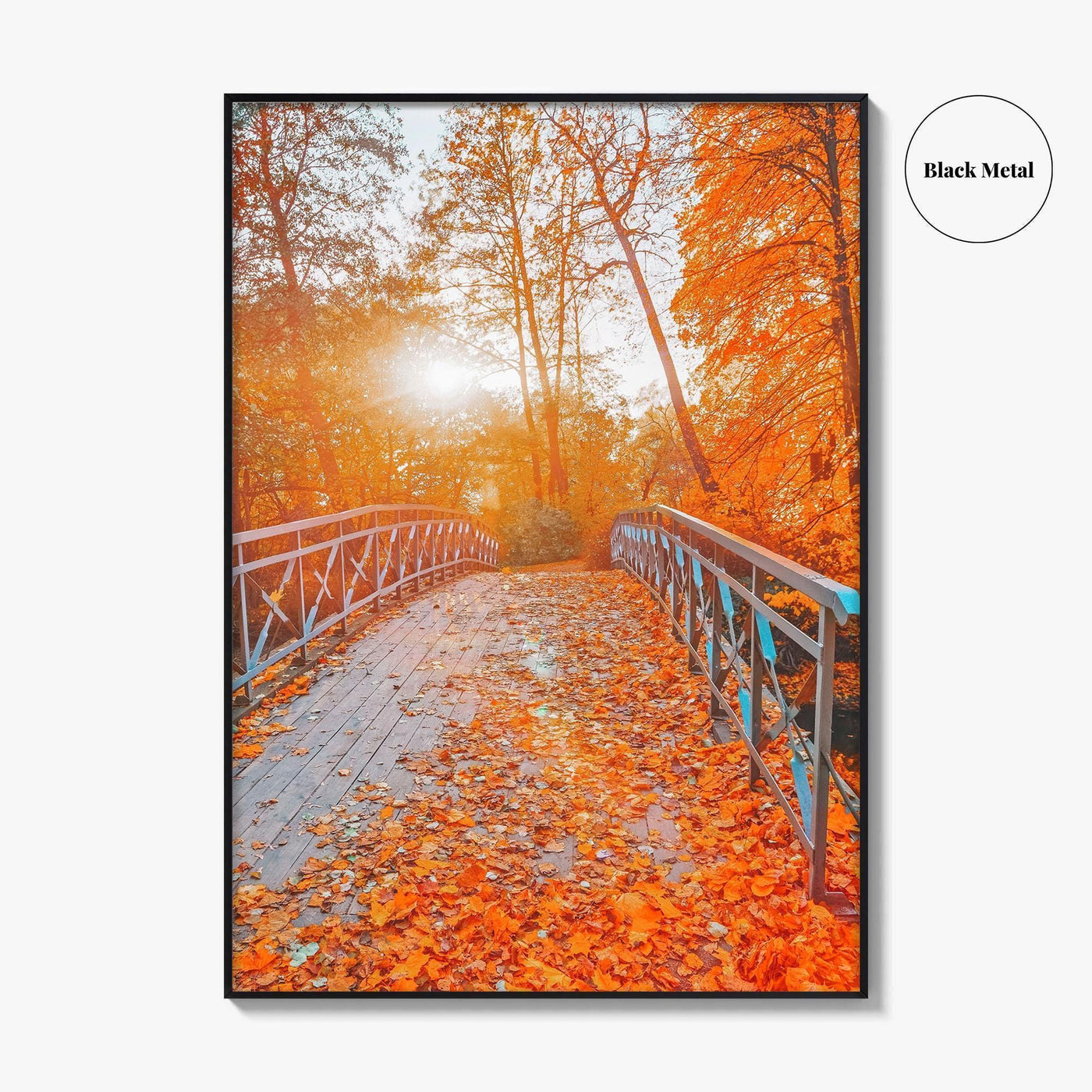 Central Park Fine Art Photo Print, New York, NYC, Bridge, Lake, Fall Foliage