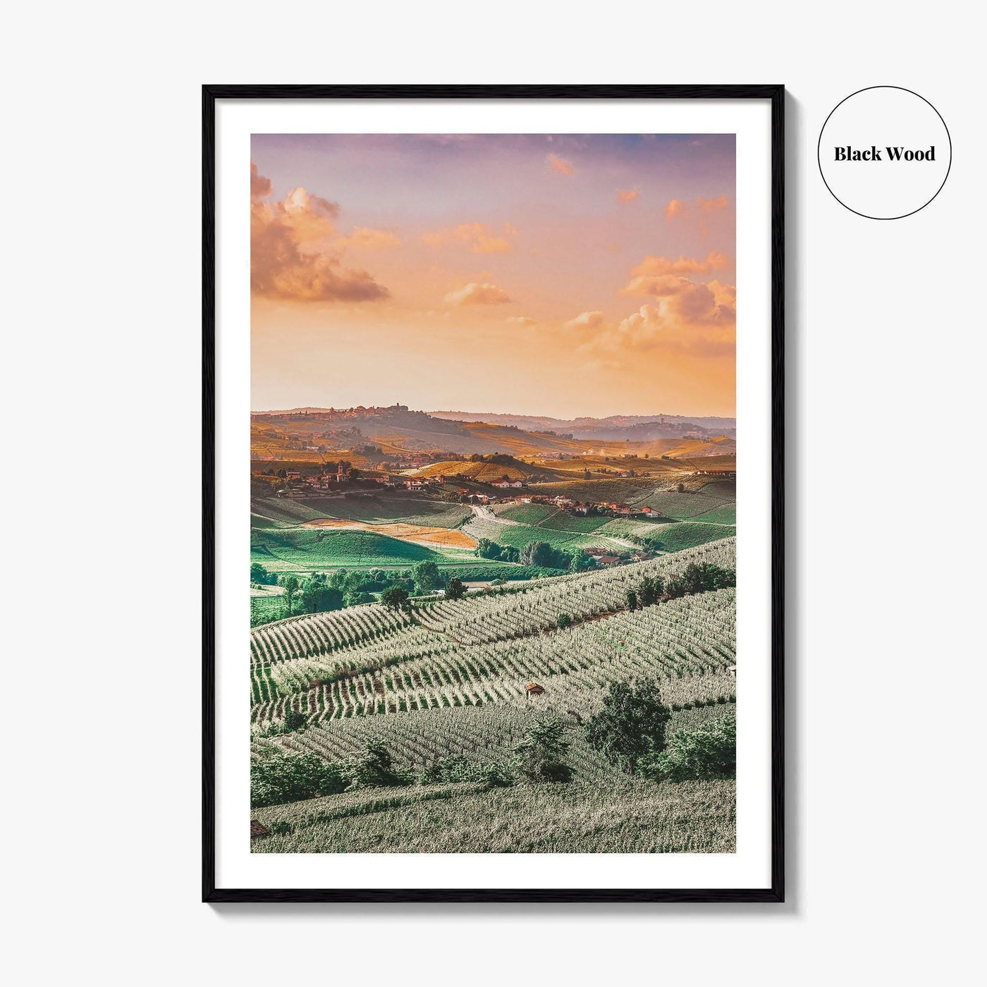 Langhe Fine Art Photo Print, Barolo, Piedmont Italy, Vineyard Landscape Poster, UNESCO