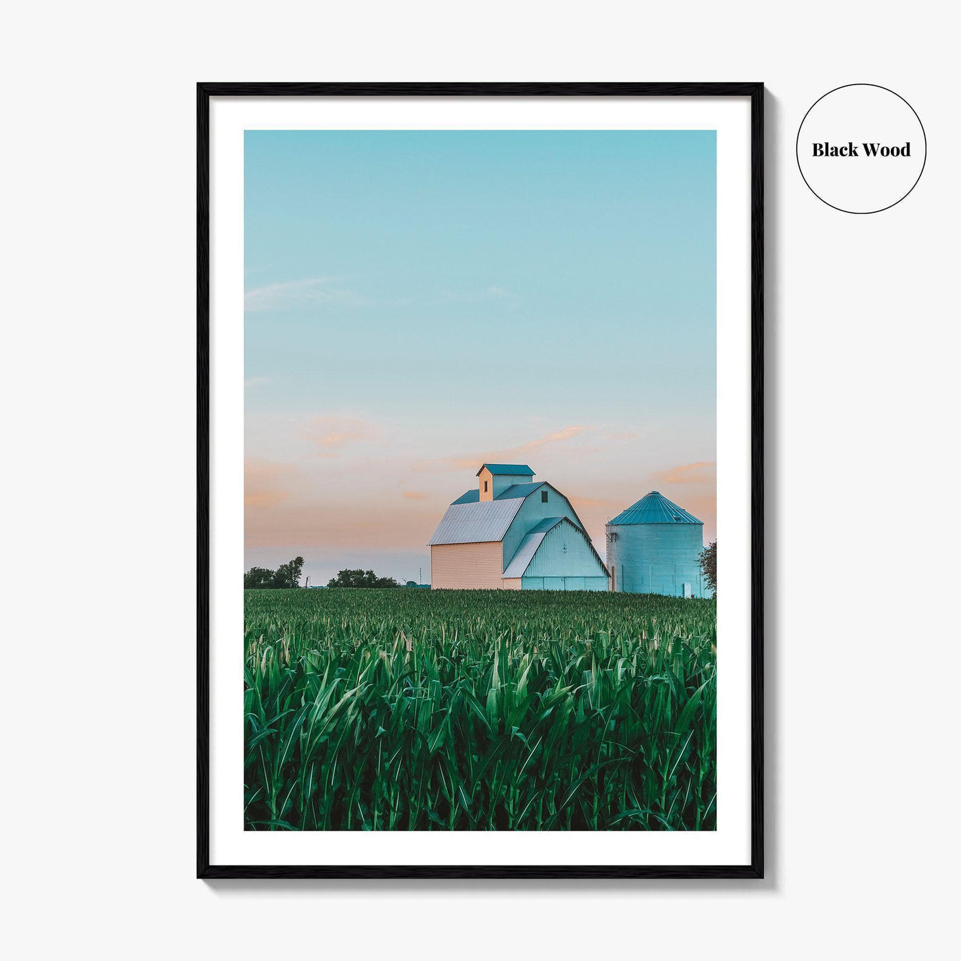 LaSalle County Illinois Fine Art Photo Print, Barn Cornfield Wall Decor Poster, USA