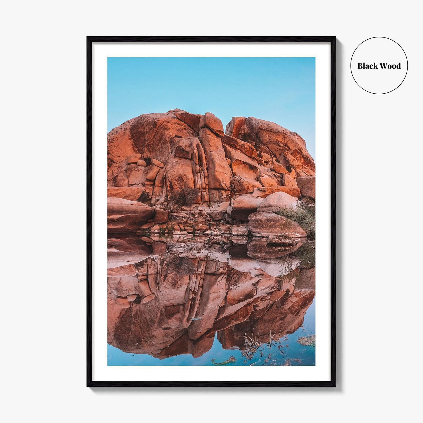 Joshua Tree National Park Fine Art Photo Print, Barker Dam, California Poster
