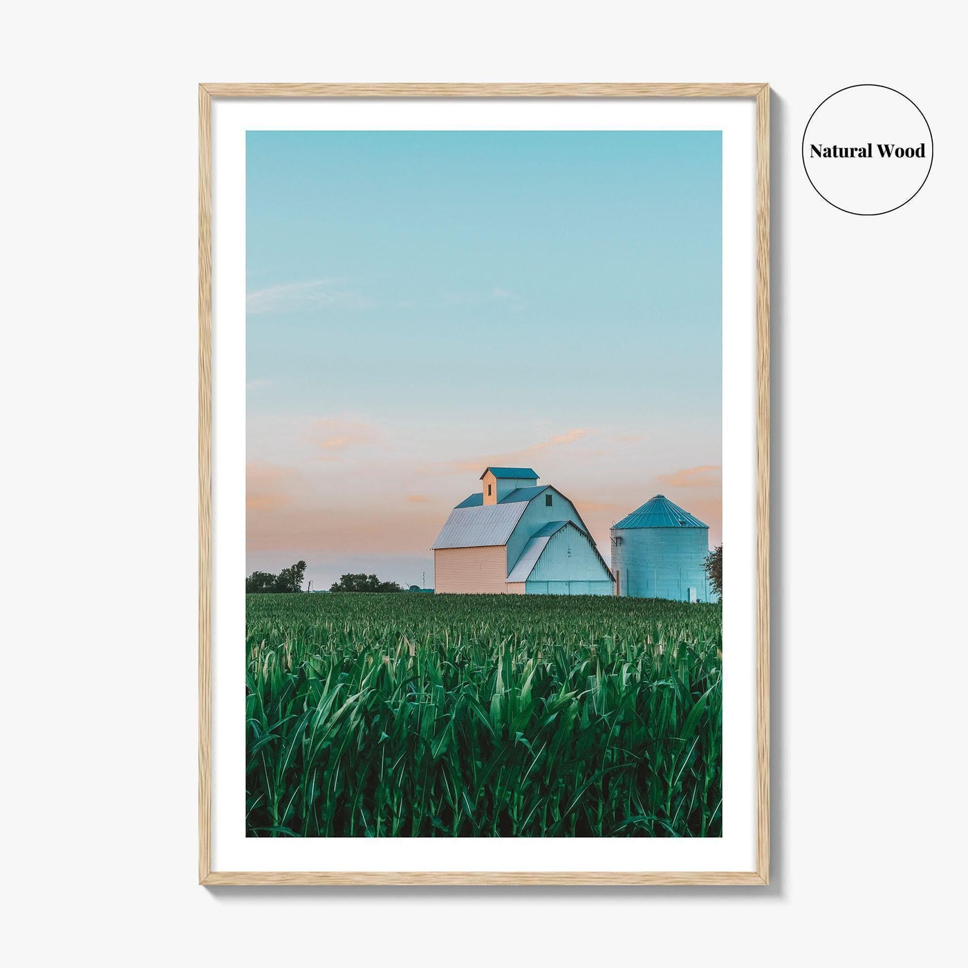 LaSalle County Illinois Fine Art Photo Print, Barn Cornfield Wall Decor Poster, USA