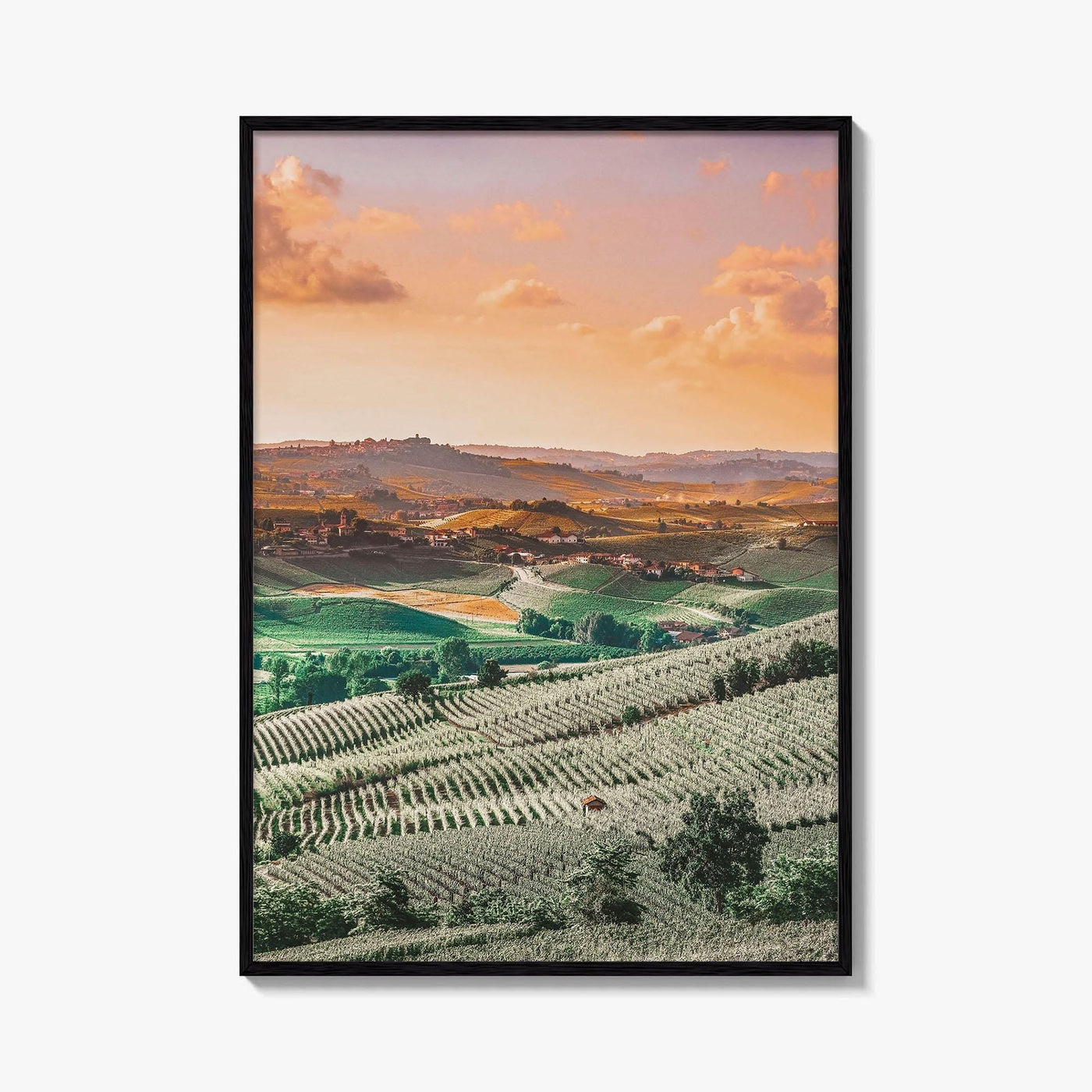 Langhe Fine Art Photo Print, Barolo, Piedmont Italy, Vineyard Landscape Poster, UNESCO