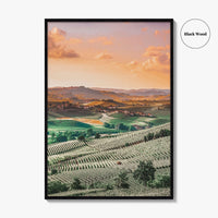 Langhe Fine Art Photo Print, Barolo, Piedmont Italy, Vineyard Landscape Poster, UNESCO