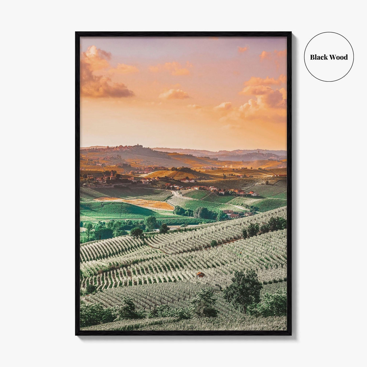 Langhe Fine Art Photo Print, Barolo, Piedmont Italy, Vineyard Landscape Poster, UNESCO