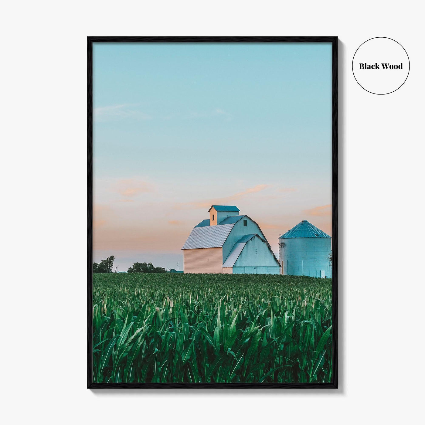 LaSalle County Illinois Fine Art Photo Print, Barn Cornfield Wall Decor Poster, USA