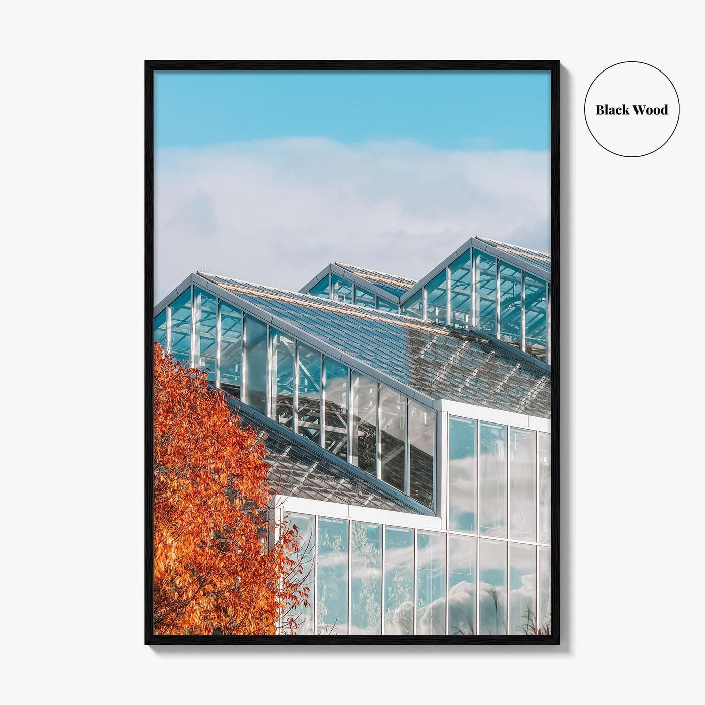 Grand Rapids Fine Art Photo Print, Frederik Meijer Gardens Greenhouse, Michigan, Wall Art
