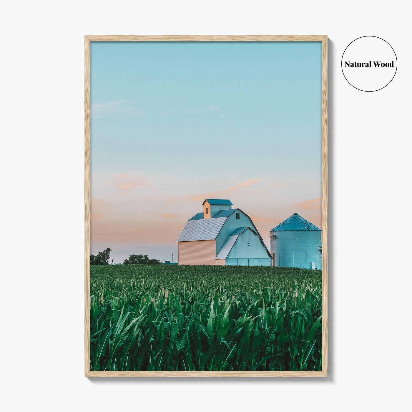LaSalle County Illinois Fine Art Photo Print, Barn Cornfield Wall Decor Poster, USA