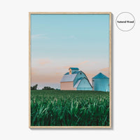 LaSalle County Illinois Fine Art Photo Print, Barn Cornfield Wall Decor Poster, USA