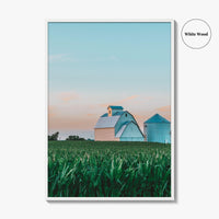 LaSalle County Illinois Fine Art Photo Print, Barn Cornfield Wall Decor Poster, USA