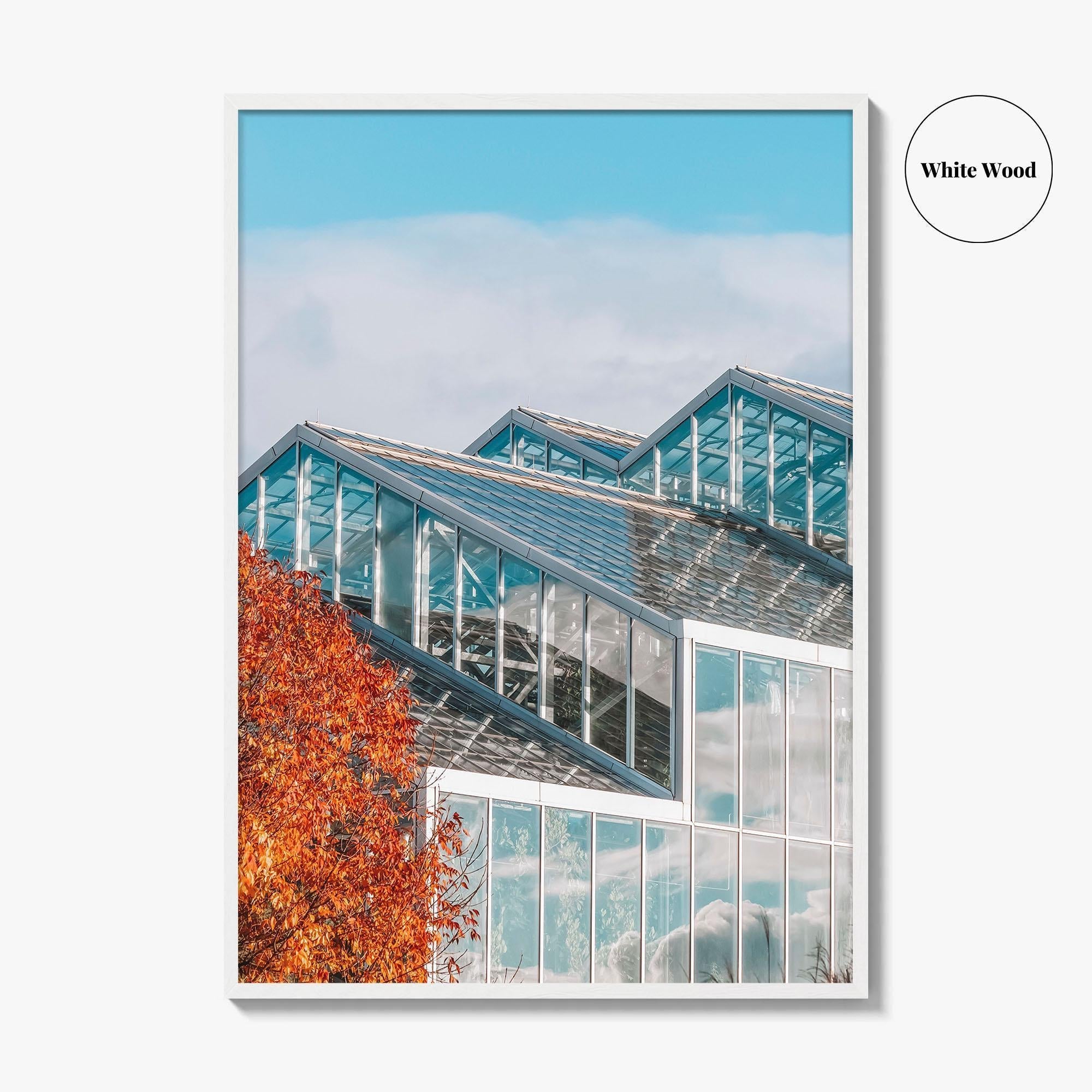 Grand Rapids Fine Art Photo Print, Frederik Meijer Gardens Greenhouse, Michigan, Wall Art