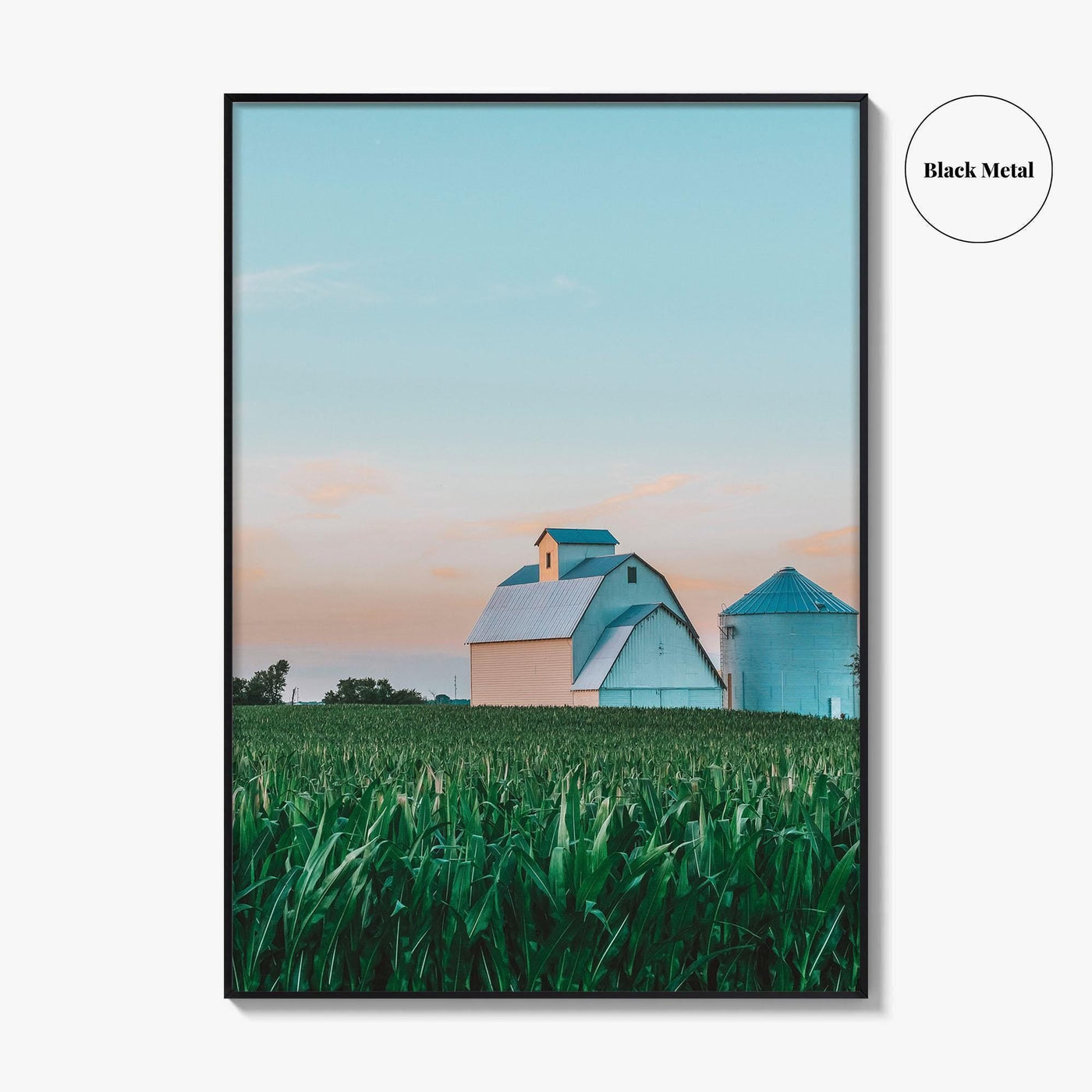 LaSalle County Illinois Fine Art Photo Print, Barn Cornfield Wall Decor Poster, USA