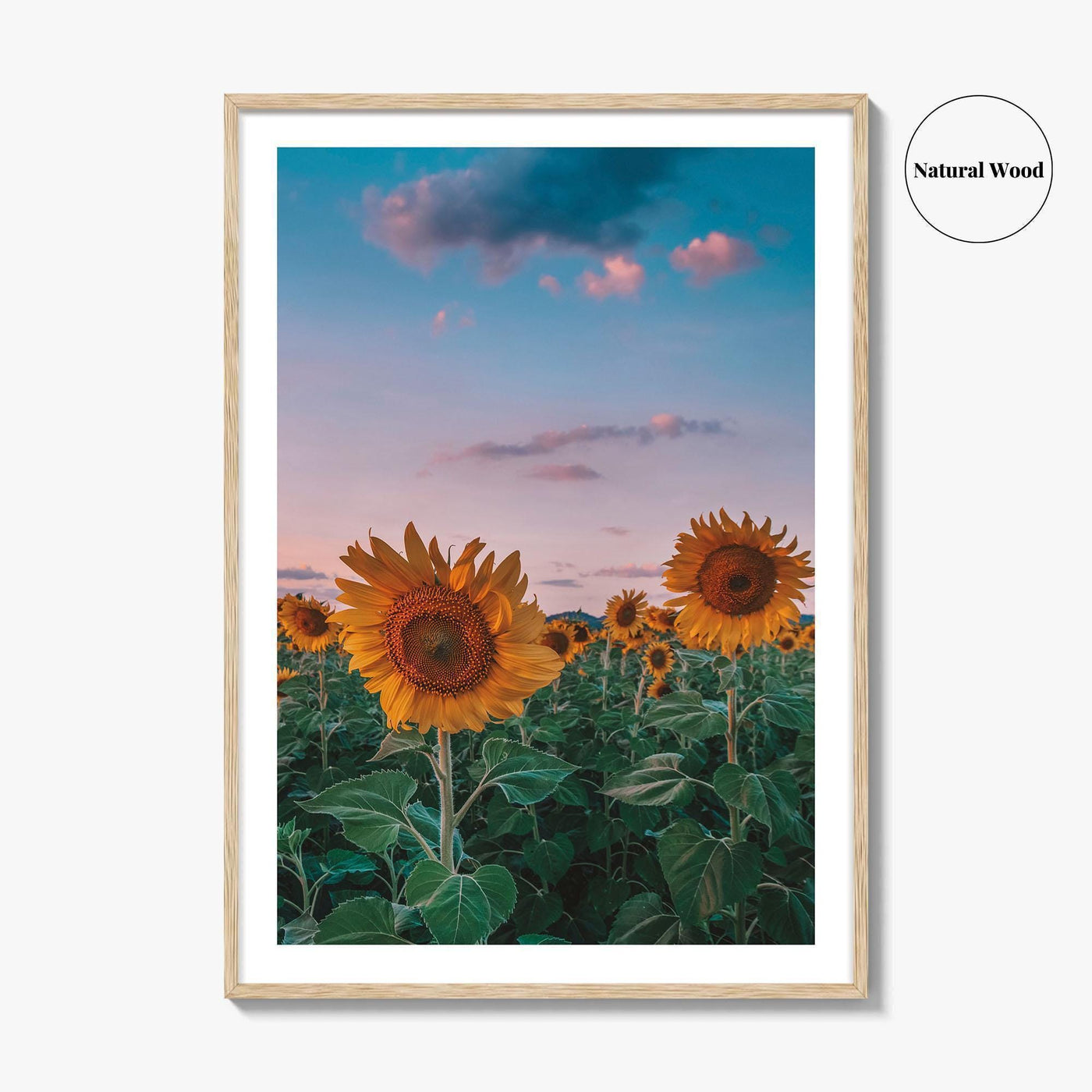 Kansas Fine Art Photo Print, Sunflower Field Landscape, Midwest USA Wall Poster