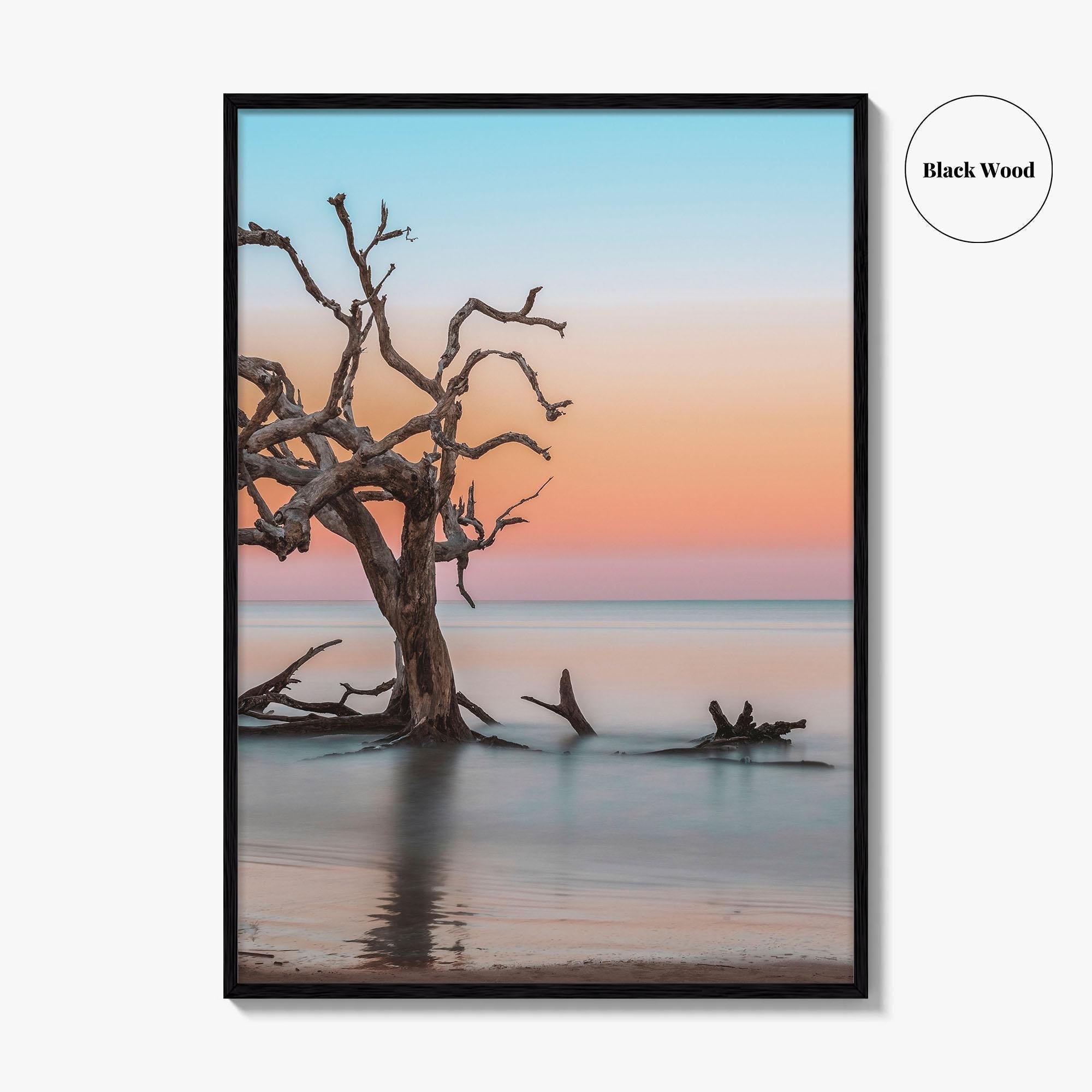 Jekyll Island Fine Art Photo Print, Driftwood Beach Georgia, Wall Poster, Coastal, USA