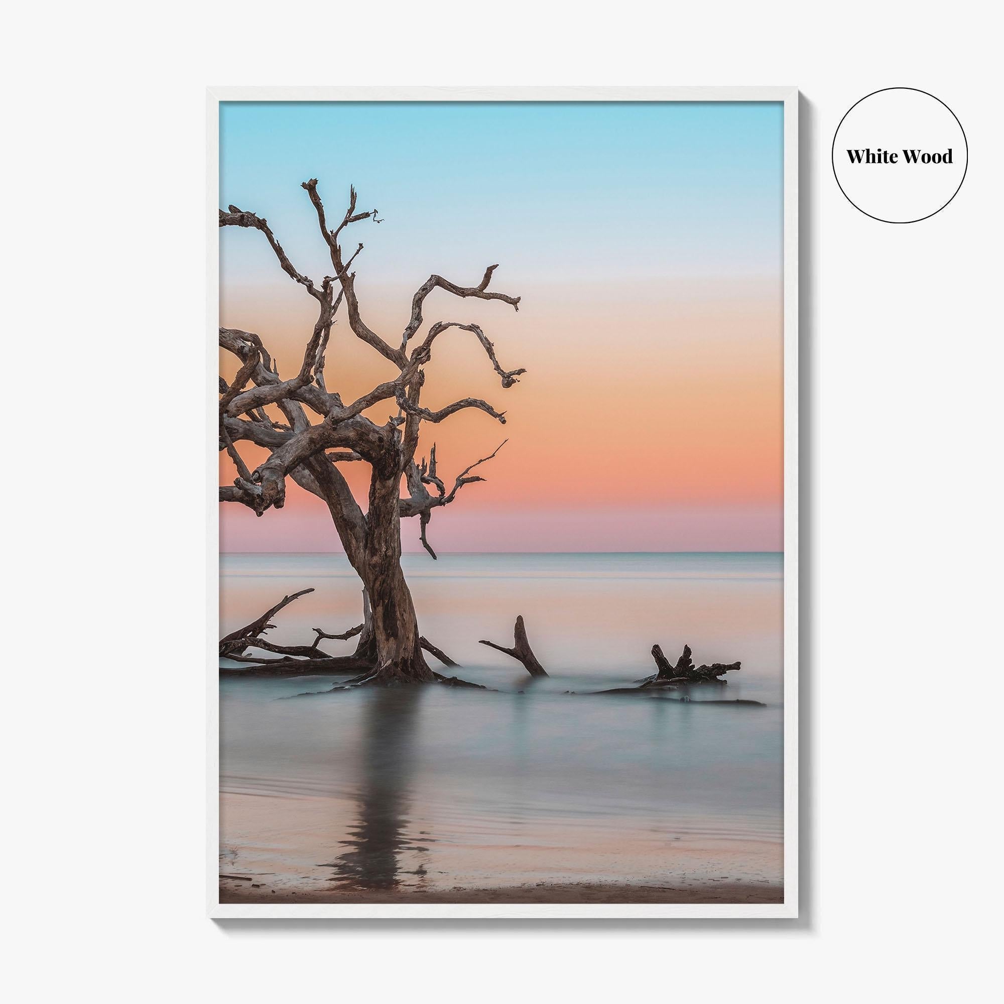 Jekyll Island Fine Art Photo Print, Driftwood Beach Georgia, Wall Poster, Coastal, USA