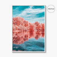 Minnesota Valley National Wildlife Refuge Fine Art Photo Print, Marsh Lake Infrared Poster