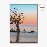 Jekyll Island Fine Art Photo Print, Driftwood Beach Georgia, Wall Poster, Coastal, USA