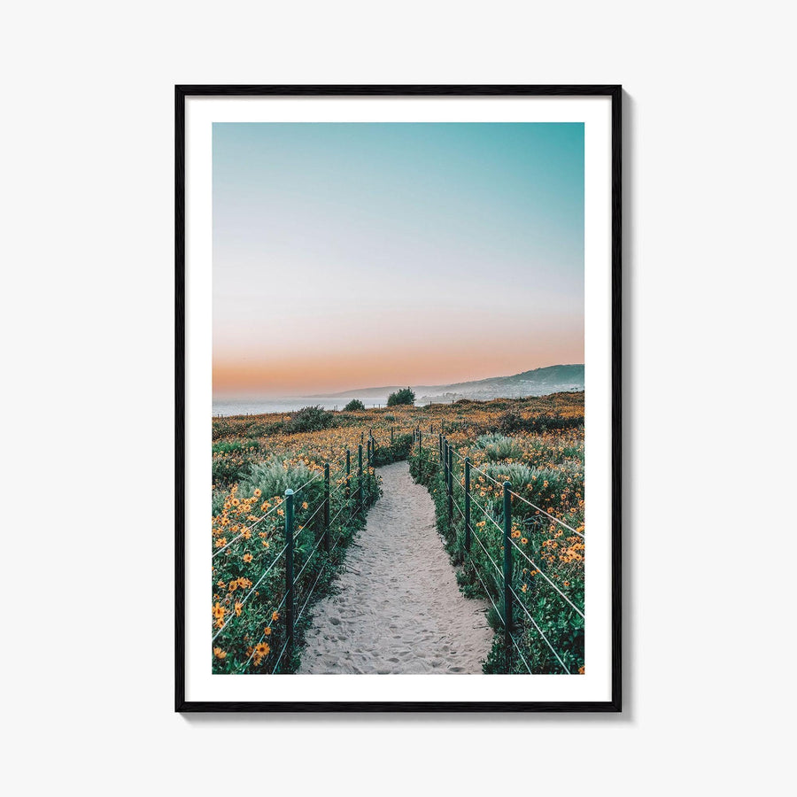 Dana Point Fine Art Photo Print, California Headlands, Orange County Poster