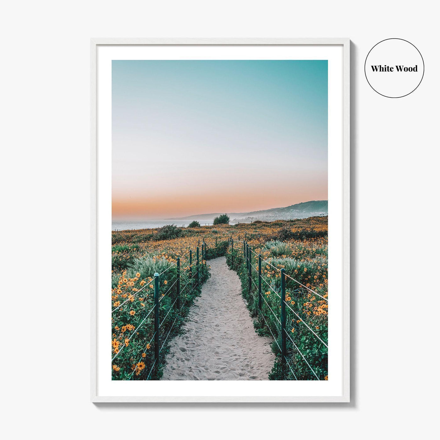 Dana Point Fine Art Photo Print, California Headlands, Orange County Poster