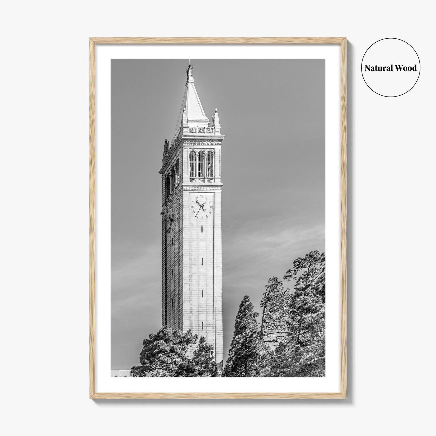 Berkeley Black and White Fine Art Photo Print, Sather Tower Campanile, UC Berkeley, California