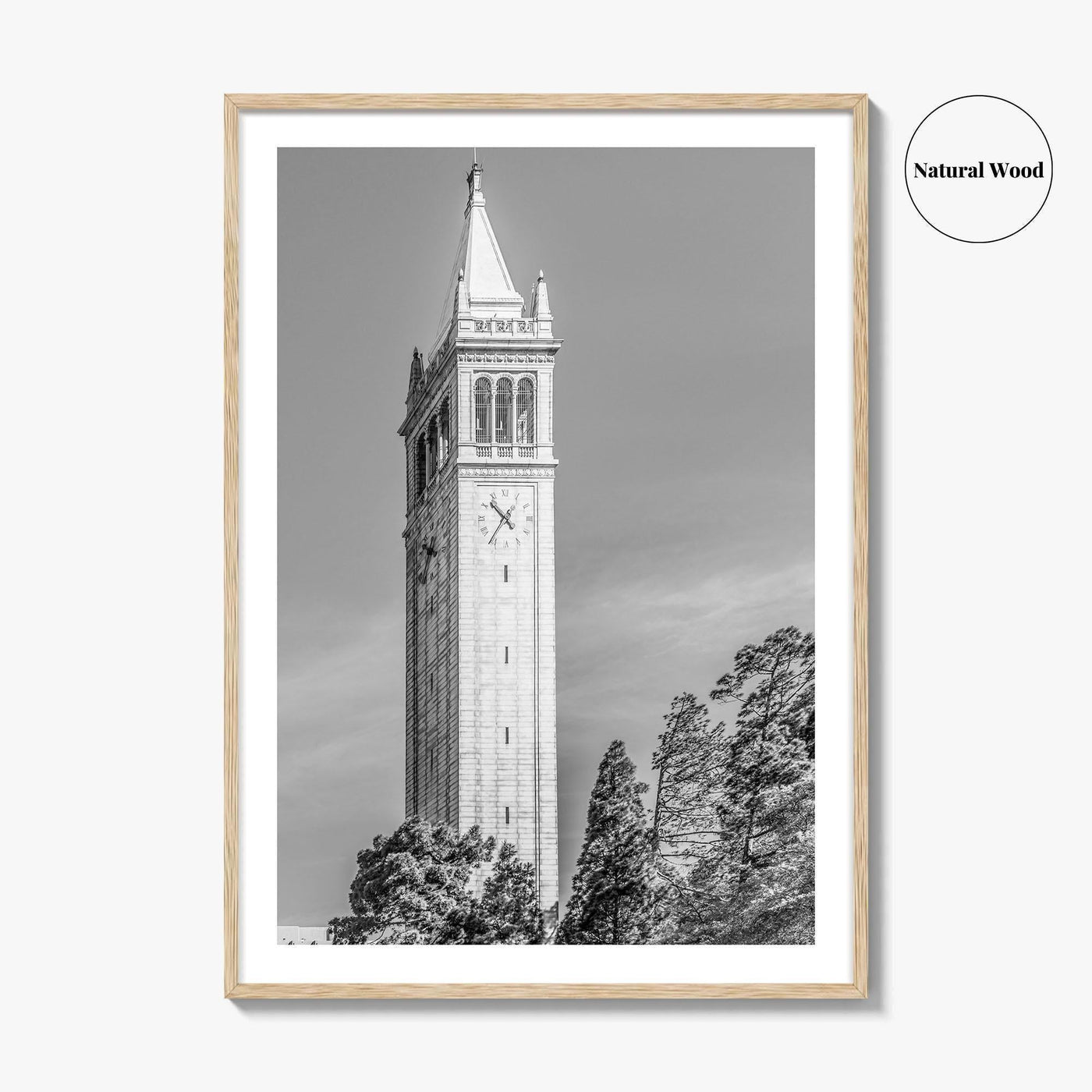 Berkeley Black and White Fine Art Photo Print, Sather Tower Campanile, UC Berkeley, California