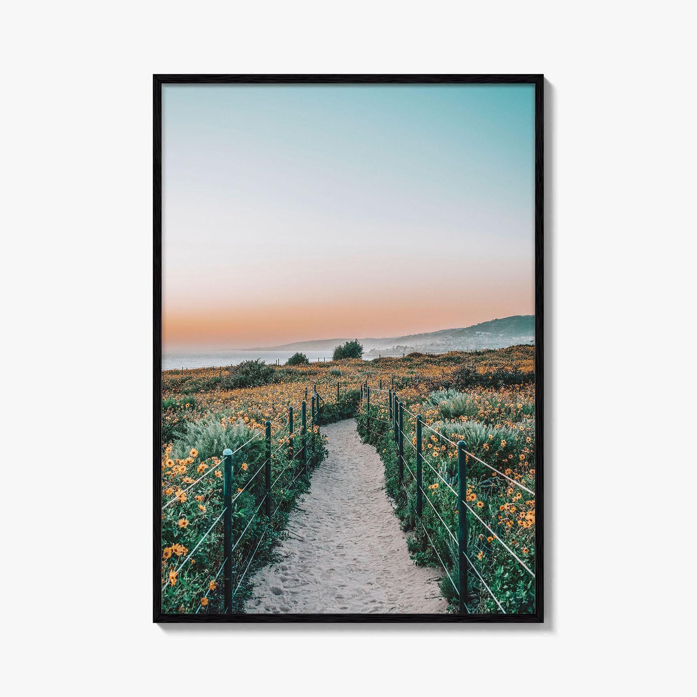 Dana Point Fine Art Photo Print, California Headlands, Orange County Poster