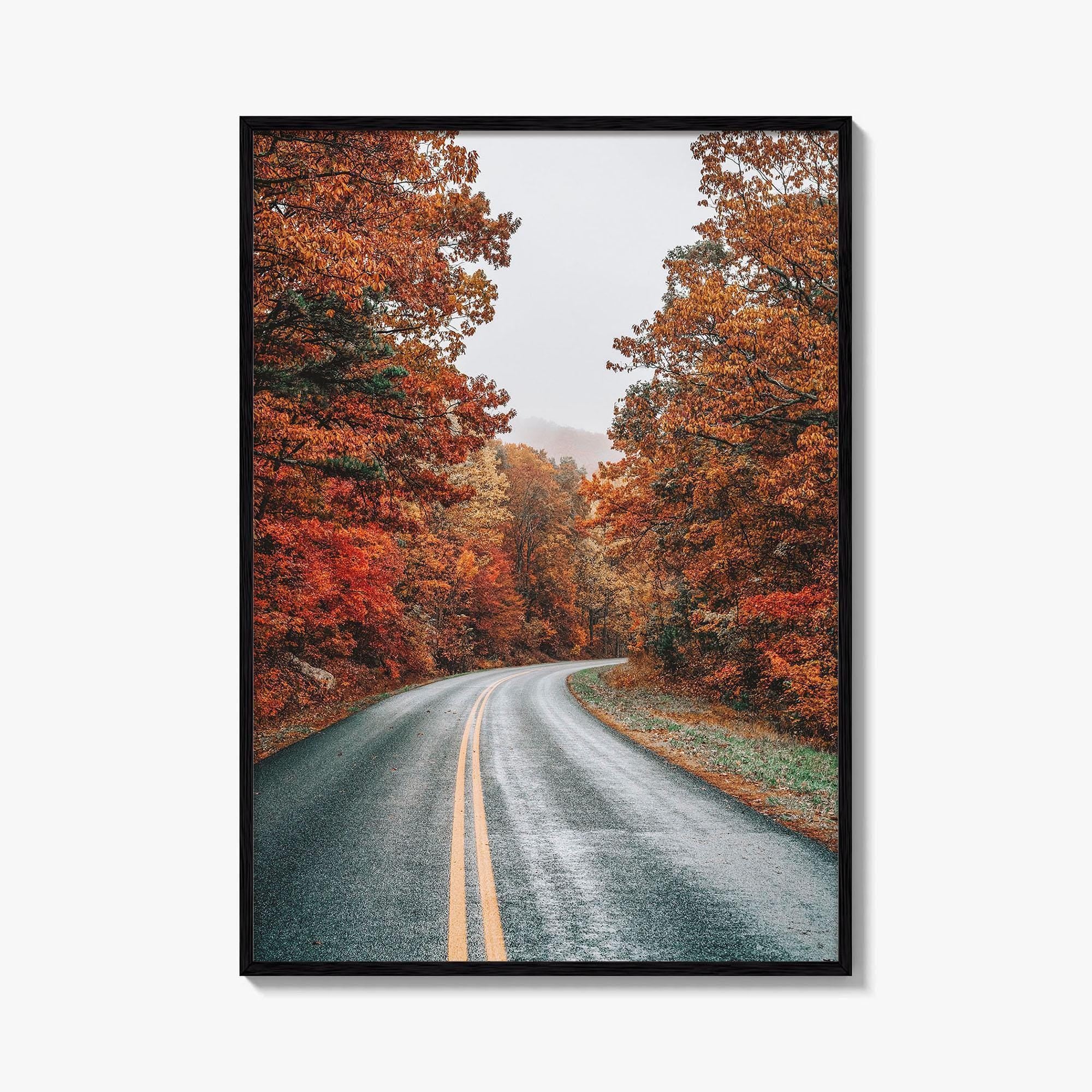 Blue Ridge Parkway Fine Art Photo Print, Virginia, Appalachian Mountains, USA Wall Poster