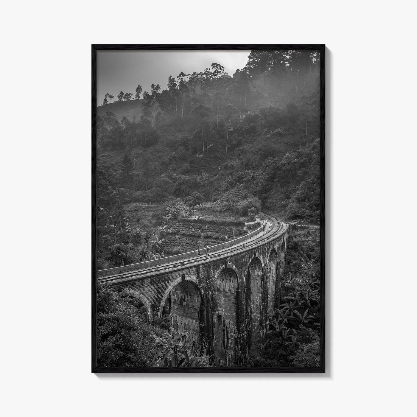Ella Nine Black and White Fine Art Photo Print, Sri Lanka Demodara Poster