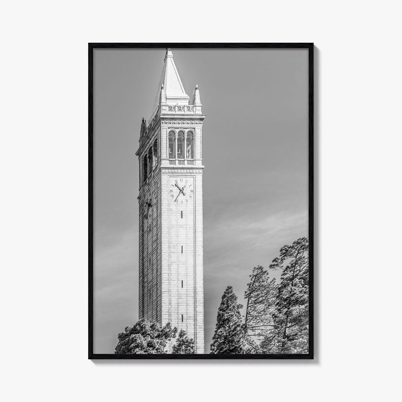 Berkeley Black and White Fine Art Photo Print, Sather Tower Campanile, UC Berkeley, California