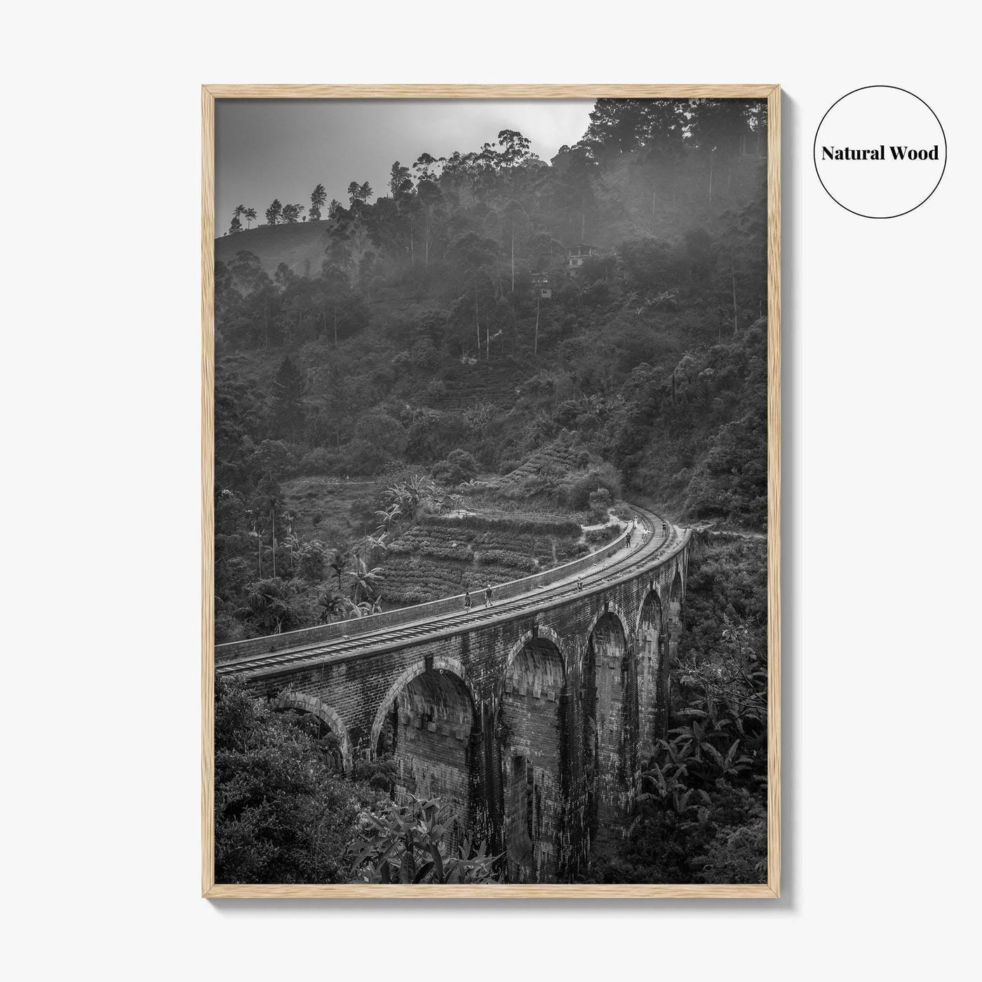 Ella Nine Black and White Fine Art Photo Print, Sri Lanka Demodara Poster