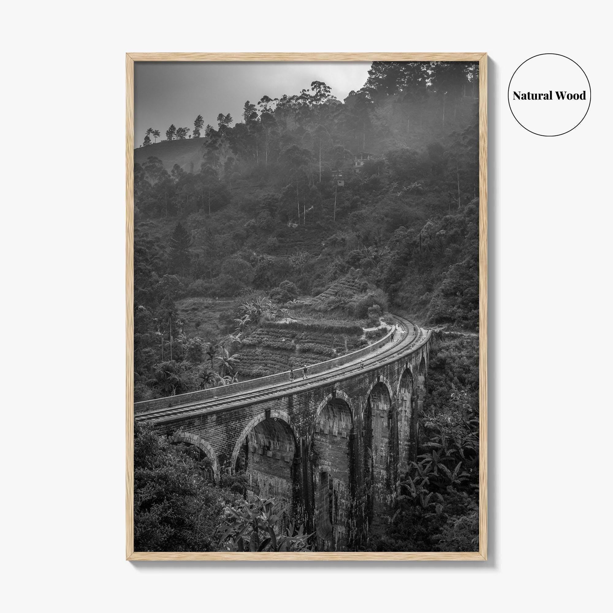 Ella Nine Black and White Fine Art Photo Print, Sri Lanka Demodara Poster