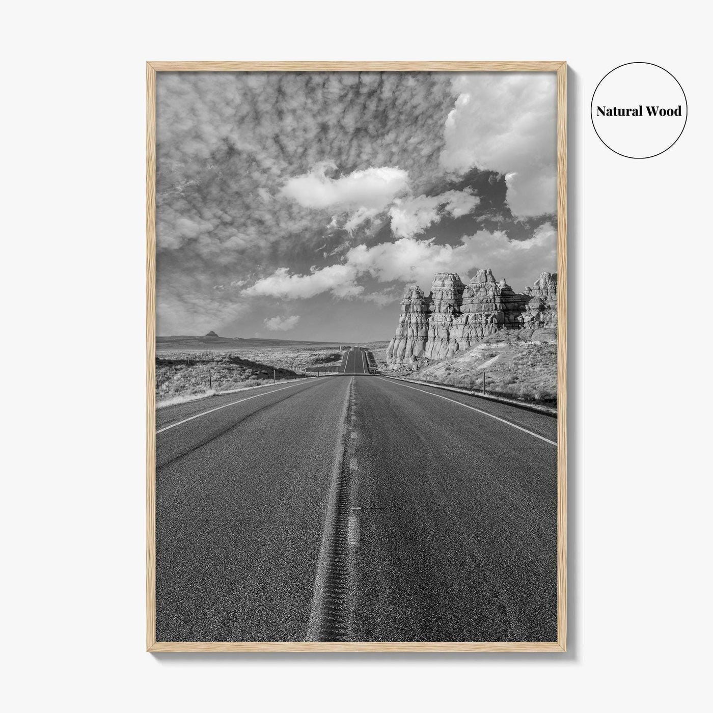 Arizona Desert Black and White Fine Art Photo Print, Southwest USA Poster