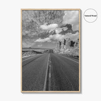 Arizona Desert Black and White Fine Art Photo Print, Southwest USA Poster
