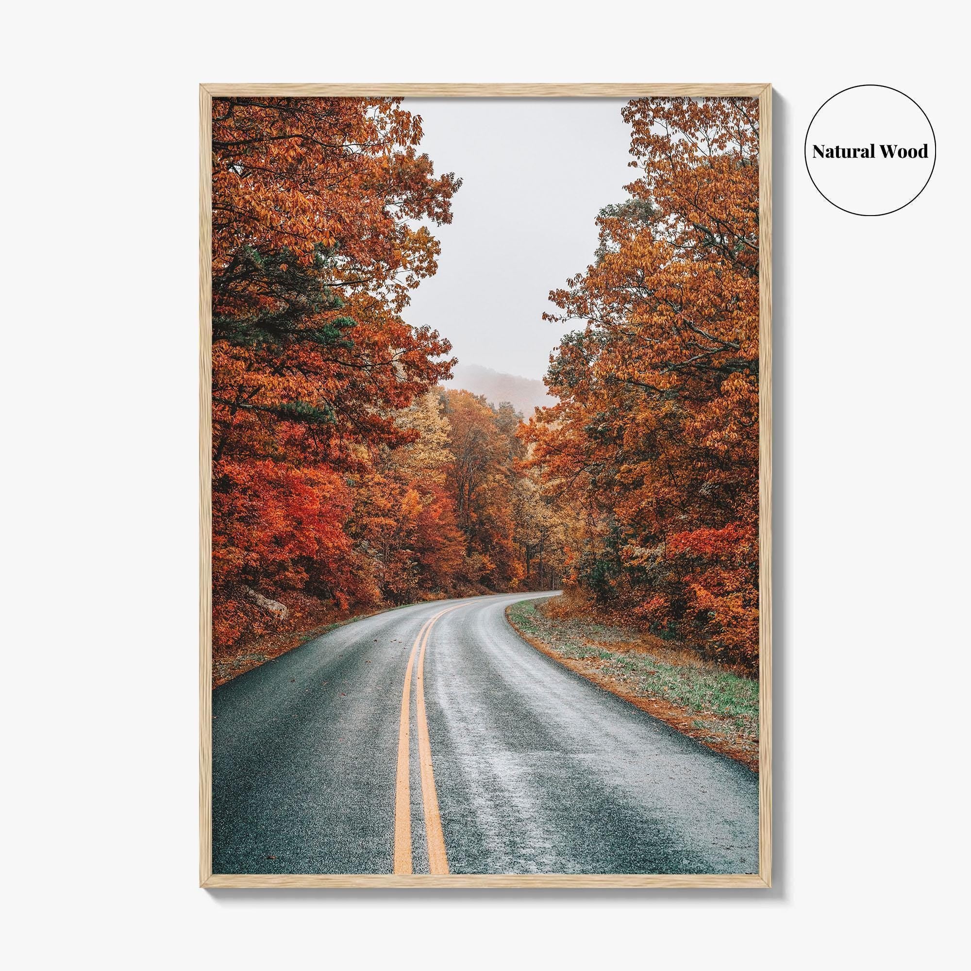 Blue Ridge Parkway Fine Art Photo Print, Virginia, Appalachian Mountains, USA Wall Poster