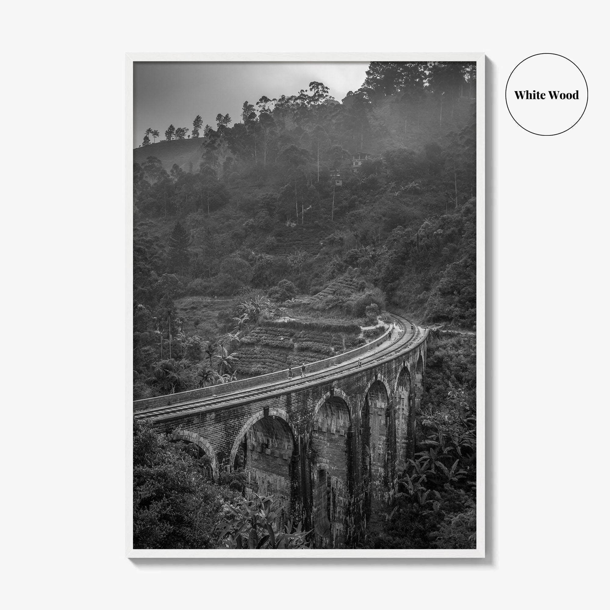 Ella Nine Black and White Fine Art Photo Print, Sri Lanka Demodara Poster