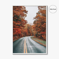 Blue Ridge Parkway Fine Art Photo Print, Virginia, Appalachian Mountains, USA Wall Poster