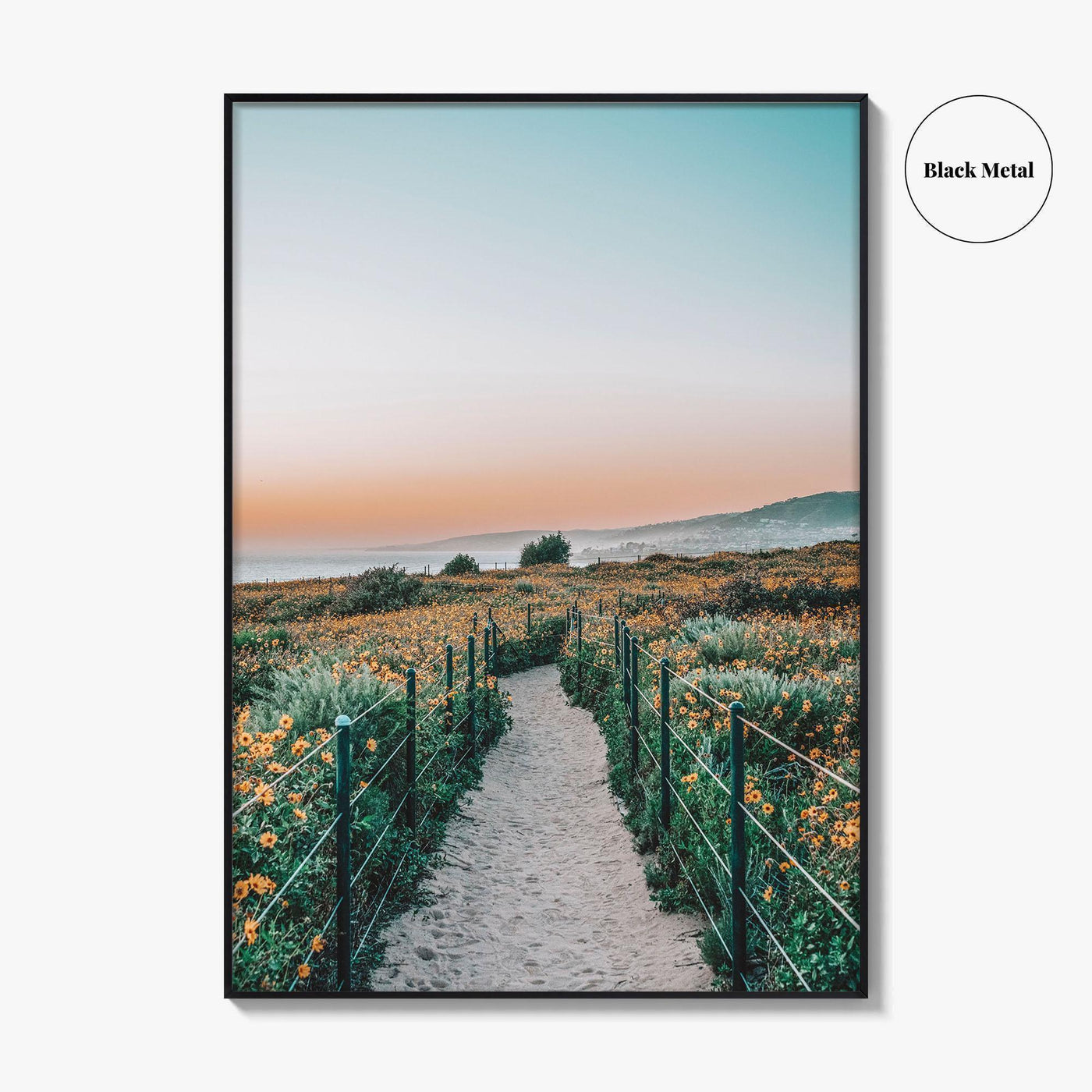 Dana Point Fine Art Photo Print, California Headlands, Orange County Poster