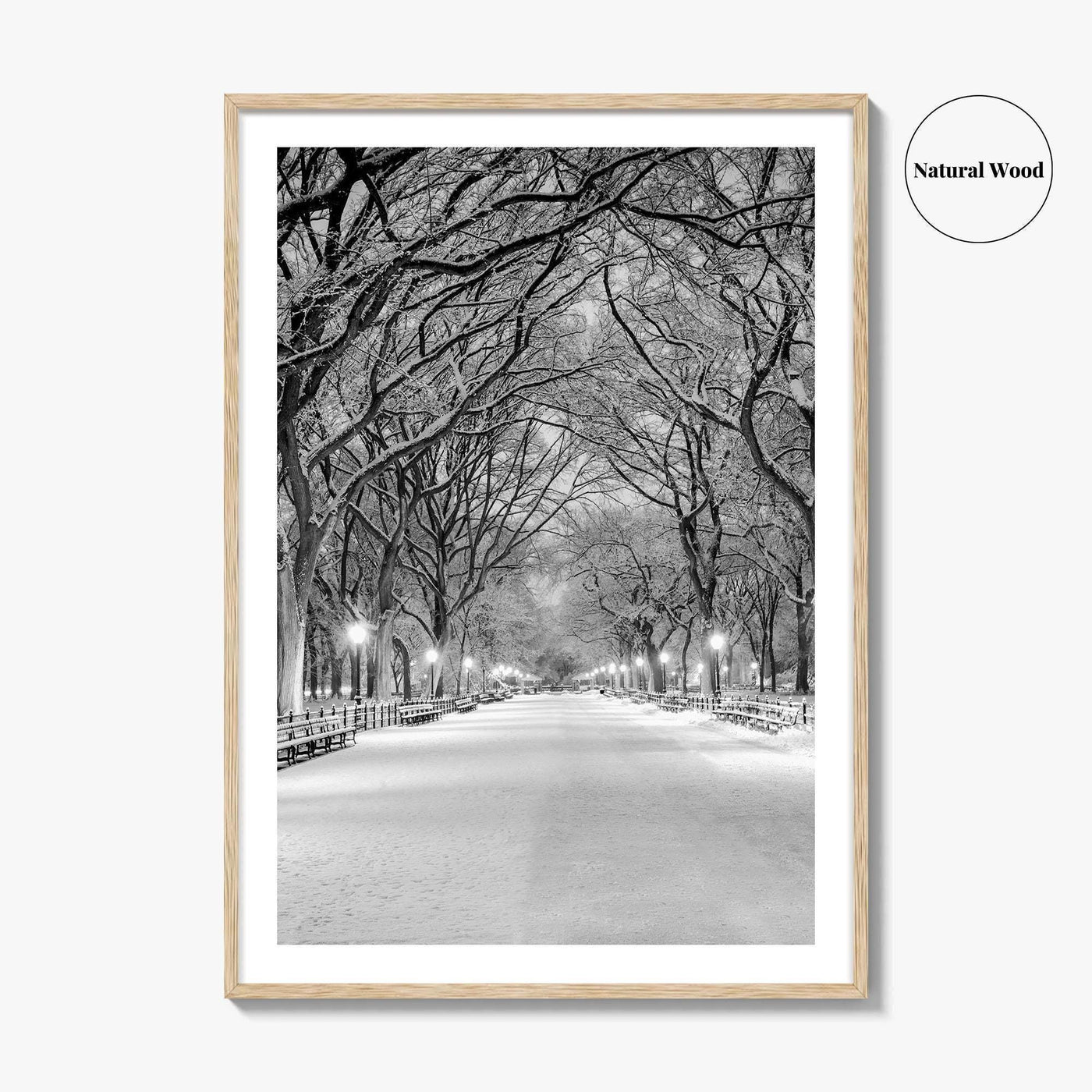 Central Park Black and White Fine Art Photo Print, New York City Poster, NYC