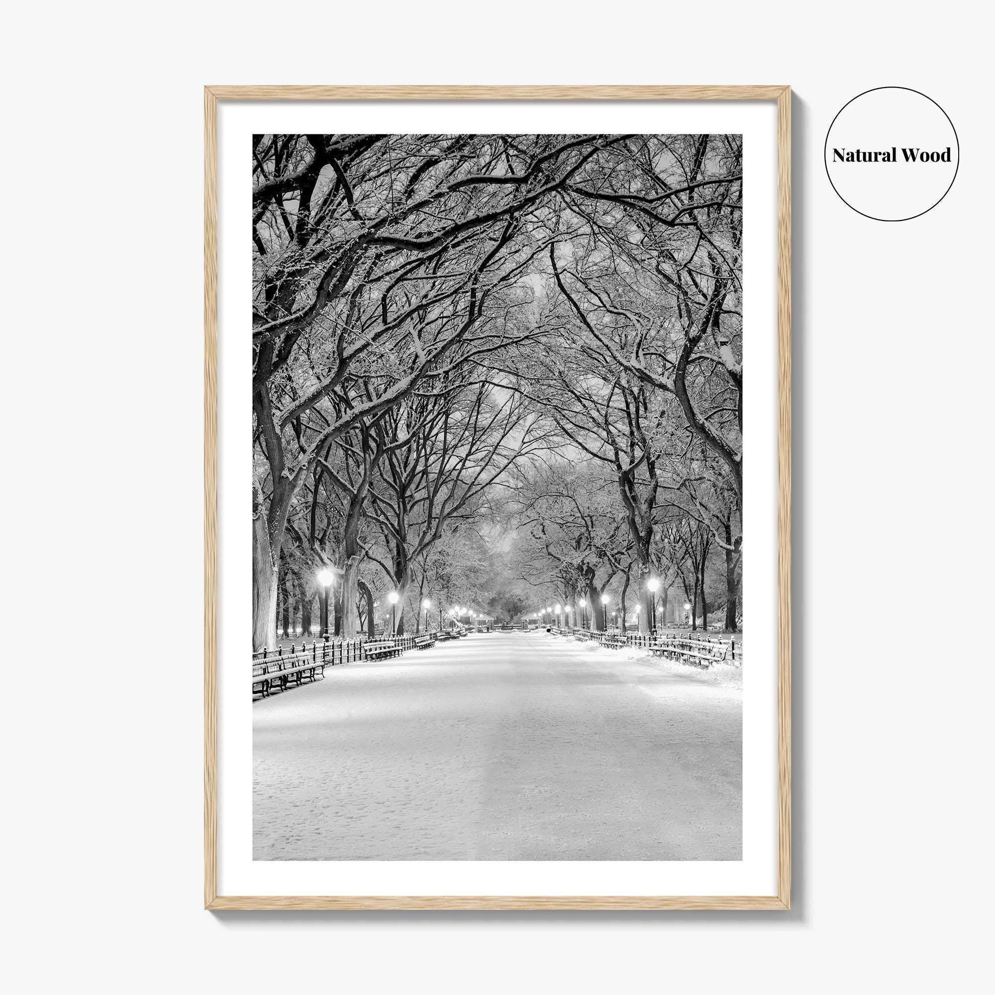 Central Park Black and White Fine Art Photo Print, New York City Poster, NYC