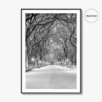 Central Park Black and White Fine Art Photo Print, New York City Poster, NYC