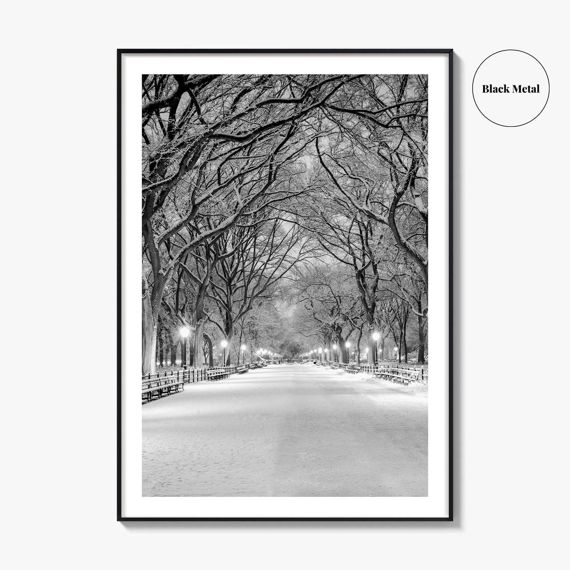 Central Park Black and White Fine Art Photo Print, New York City Poster, NYC