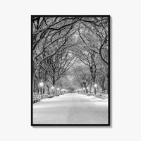 Central Park Black and White Fine Art Photo Print, New York City Poster, NYC