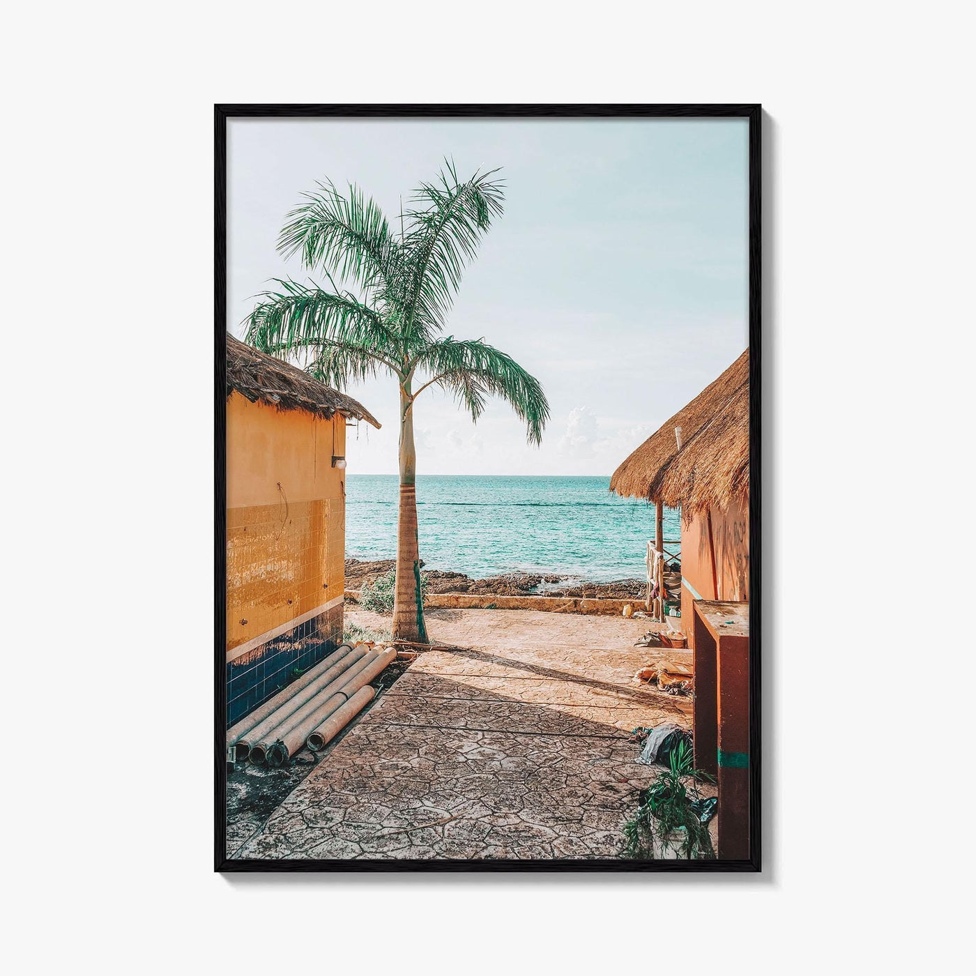 Cozumel Fine Art Photo Print, Mexico, Quintana Roo, Waterfront, Palm Trees, Wall Decor, Poster