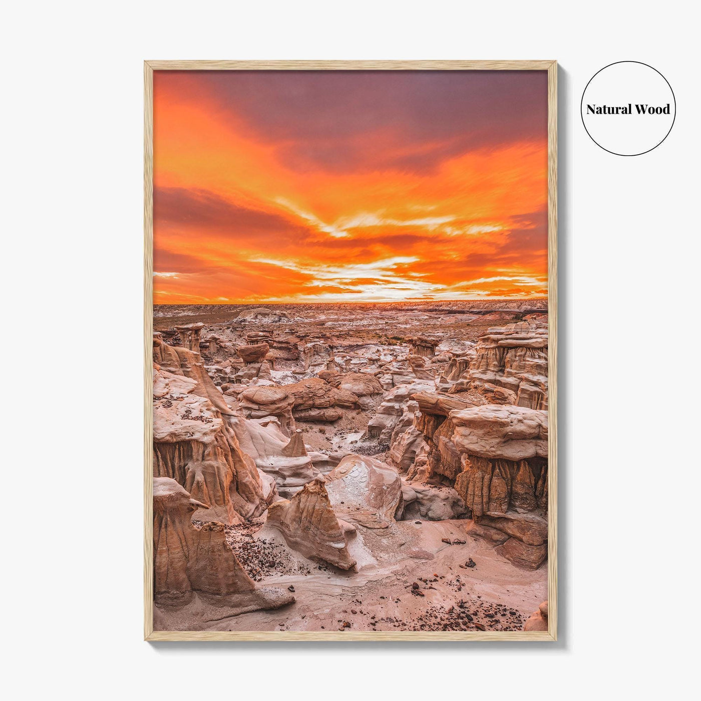 Bisti De-Na-Zin Wilderness New Mexico Fine Art Photo Print, Bisti Badlands, Valley Dreams