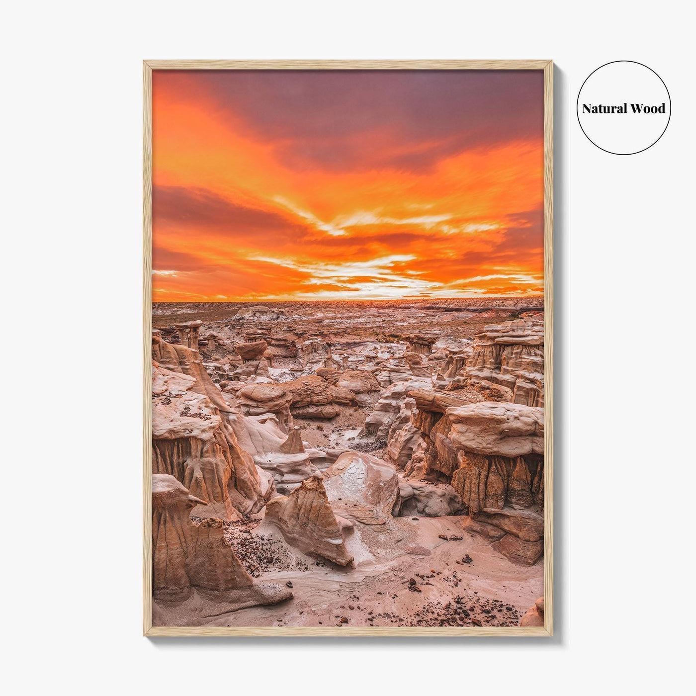Bisti De-Na-Zin Wilderness New Mexico Fine Art Photo Print, Bisti Badlands, Valley Dreams