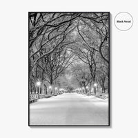 Central Park Black and White Fine Art Photo Print, New York City Poster, NYC