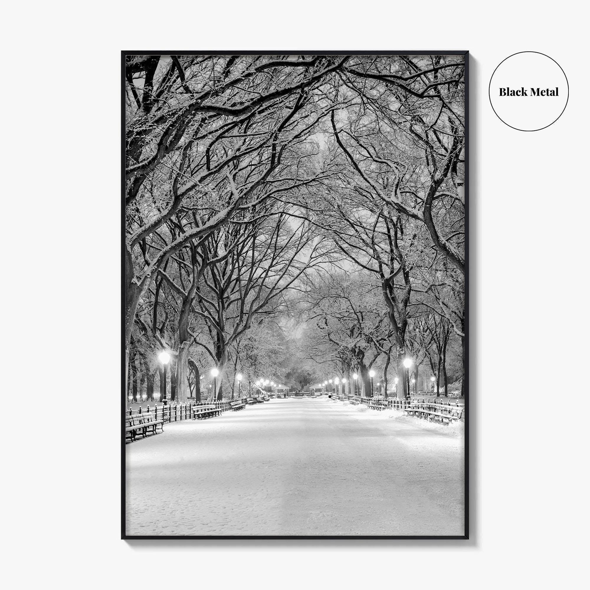 Central Park Black and White Fine Art Photo Print, New York City Poster, NYC