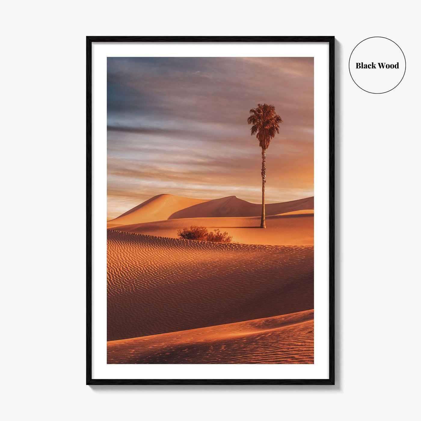 Palm Desert Fine Art Photo Print, Palm Springs California Poster